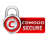 Secure website logo